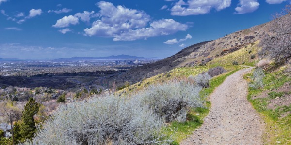 Flume Trail