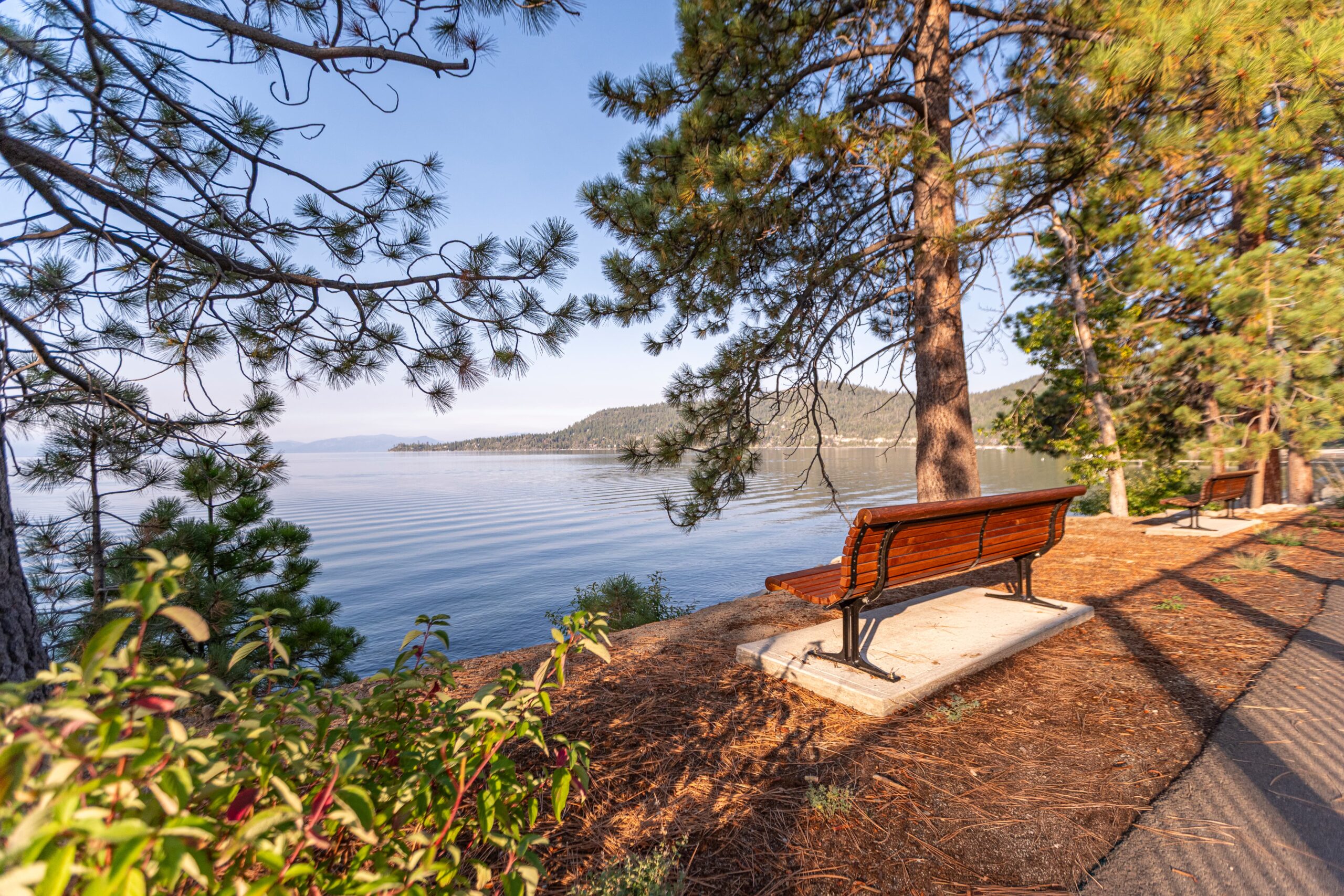 bench overlooking lake