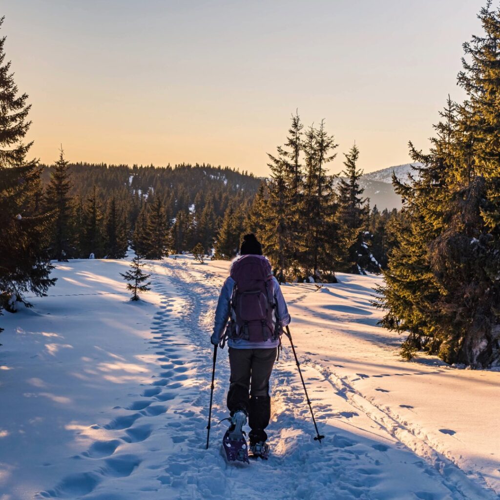 Snowshoeing during winter season